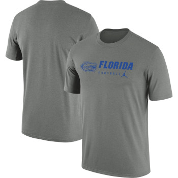 Men's - Florida Gators Nike Team Legend Performance Heather Gray College Football T-Shirt